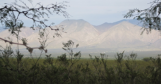 Mexico Mountains
